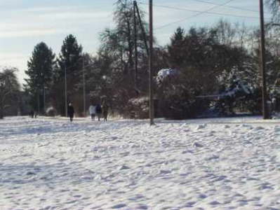 WInter 1