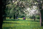 B�ume 1