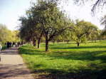Naherholung
